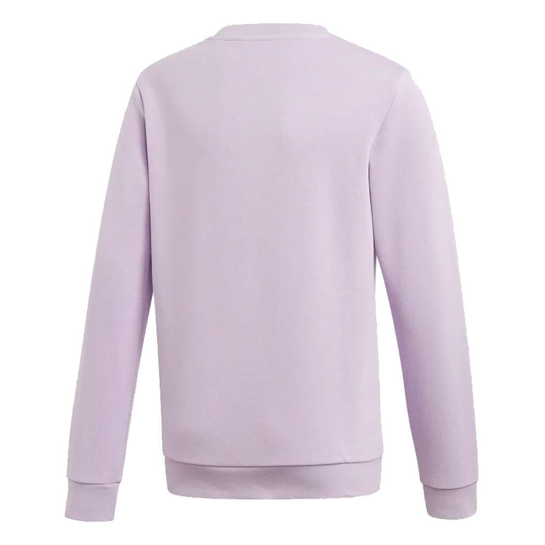 adidas Originals Kid's(Youth) Trefoil Crew Sweater - Purple Glow / White