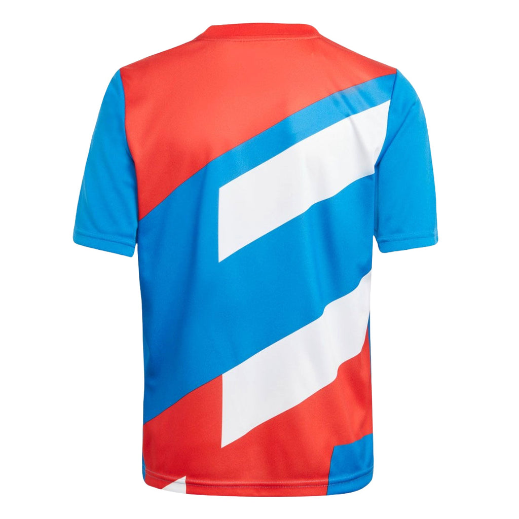 adidas Youth  FC Bayern Preshi Jersey - Red / Bright Royal