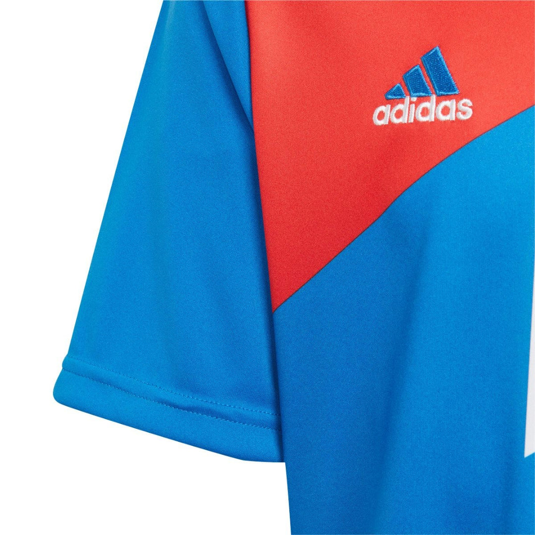 adidas Youth  FC Bayern Preshi Jersey - Red / Bright Royal
