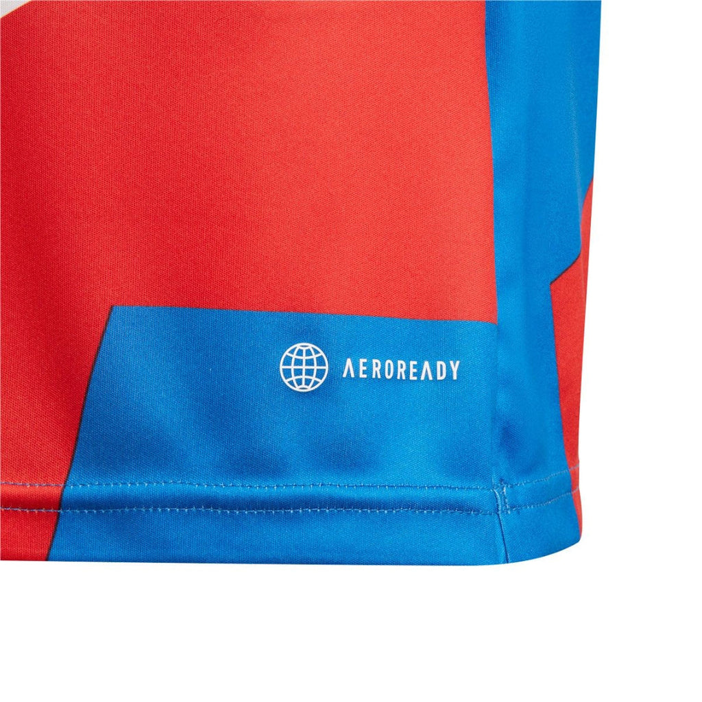 adidas Youth  FC Bayern Preshi Jersey - Red / Bright Royal
