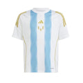 Adidas Youth Messi Short Sleeve T-shirt